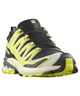 SALOMON サロモン XA PRO 3D V9 GTX ゴアテックス メンズ シューズ スニーカー 防水 アウトドア L47468600(BK-26.0cm)