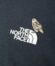 THE NORTH FACE ザ・ノース・フェイス 長袖 Tシャツ ロンT レディース 無地 ワンポイント ロゴ ロングスリーブズーピッカーティー NT82536(AG-S)
