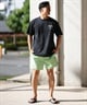 BILLABONG ビラボン 水着 トランクス メンズ ボードショーツ サーフパンツ ワンポイント ロゴ 16インチ 水陸両用 BF011-530(BLK-S)