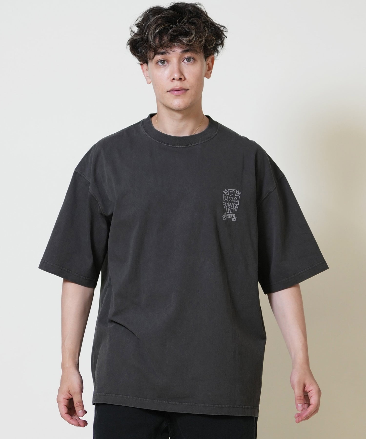 DOGTOWN ドッグタウン 半袖 Tシャツ メンズ バックプリント オーバーサイズ 253DT1ST005(IVO-M)