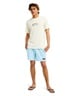 QUIKSILVER クイックシルバー 半袖 Tシャツ メンズ コラボ ONE PIECE X QUIKSILVER PIRATES ISLAND SS EQYZT08508(BWT-S)