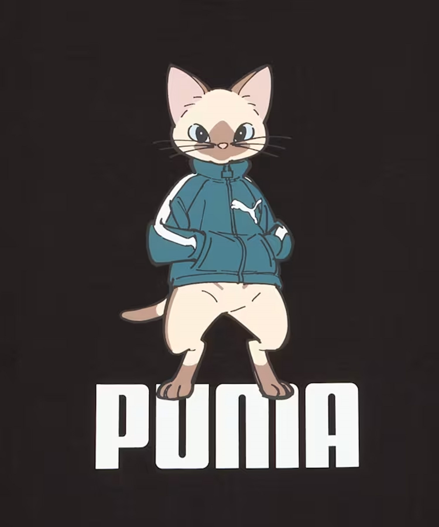 PUMA プーマ 半袖 Tシャツ メンズ モンスターハンターワイルズ コラボレーション 636486(01-M)
