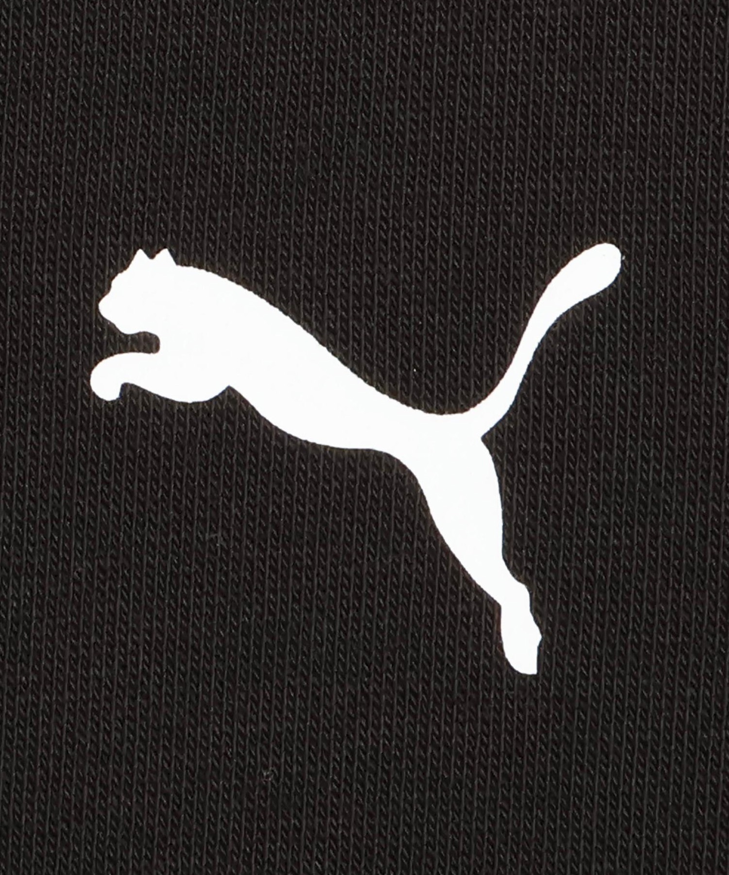 PUMA プーマ プルオーバー パーカー メンズ モンスターハンターワイルズ コラボレーション 636483(01-S)